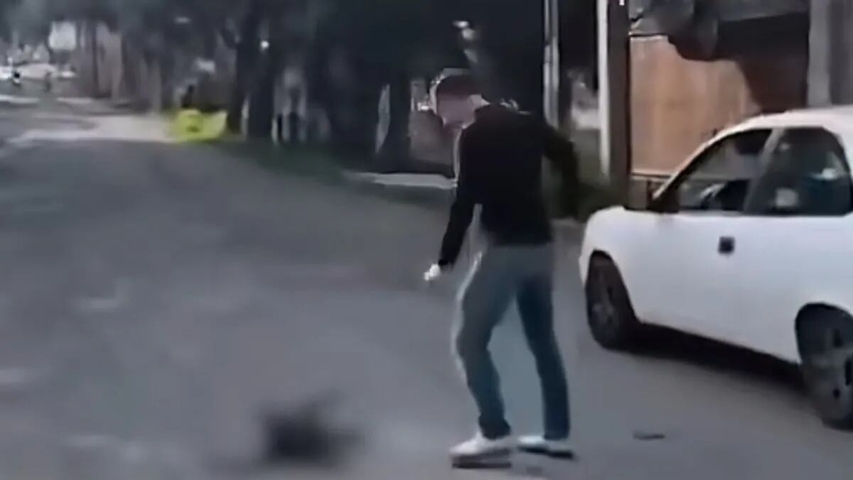 Perrito queda herido tras ser atropellado y lo patean en plena calle 