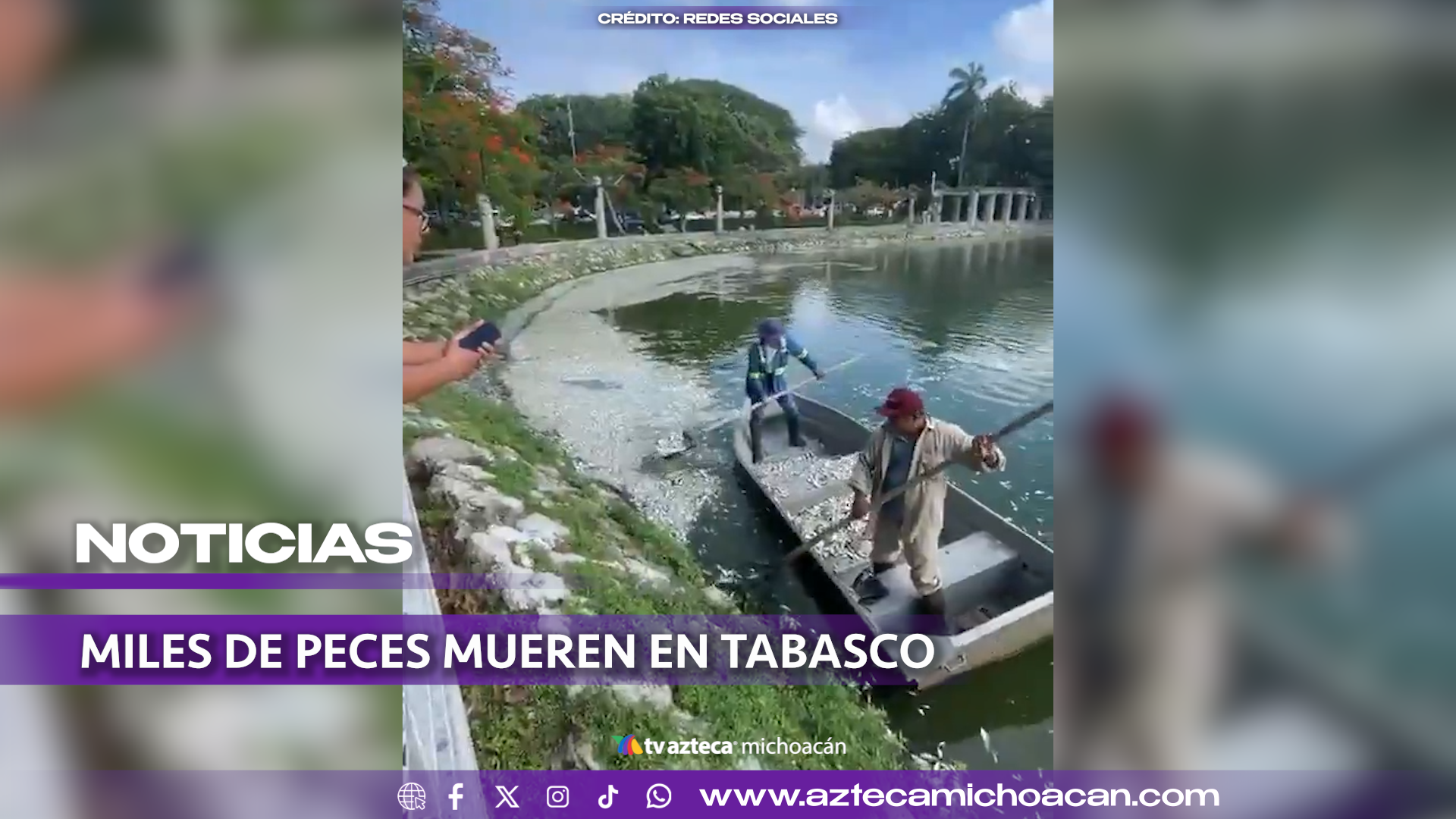 #VIDEO: Choque térmico provoca la muerte masiva de miles de peces en una laguna.