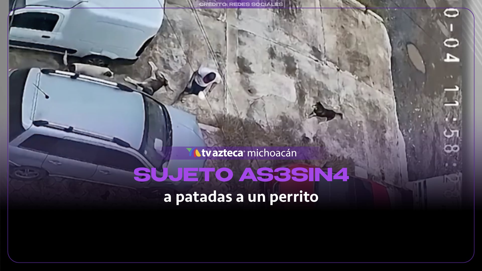 #VIDEO: Captan agresión contra un perrito en Morelia