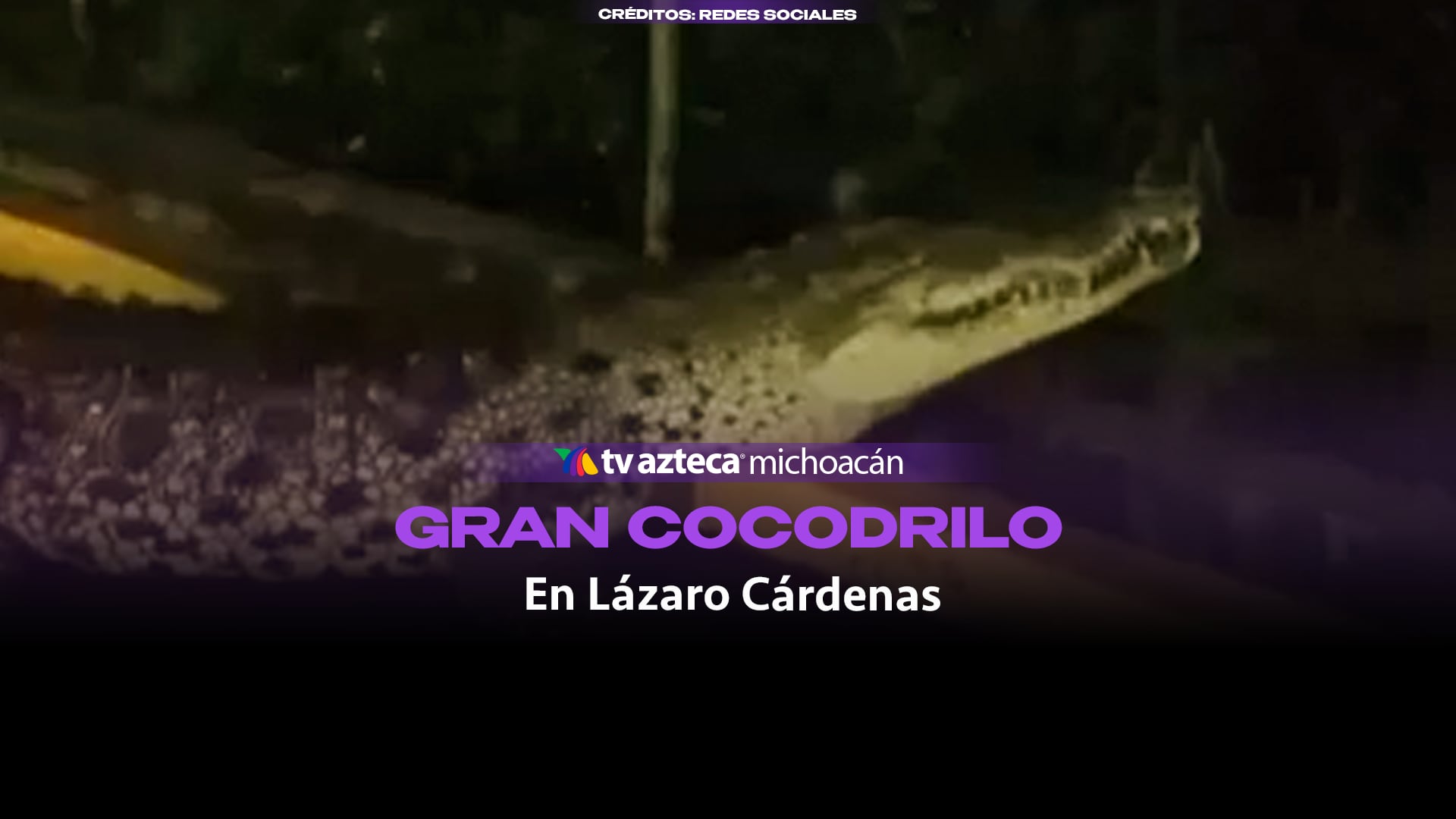 #VIDEO: Captan cocodrilo en acceso al boulevard costero de Lázaro Cárdenas.
