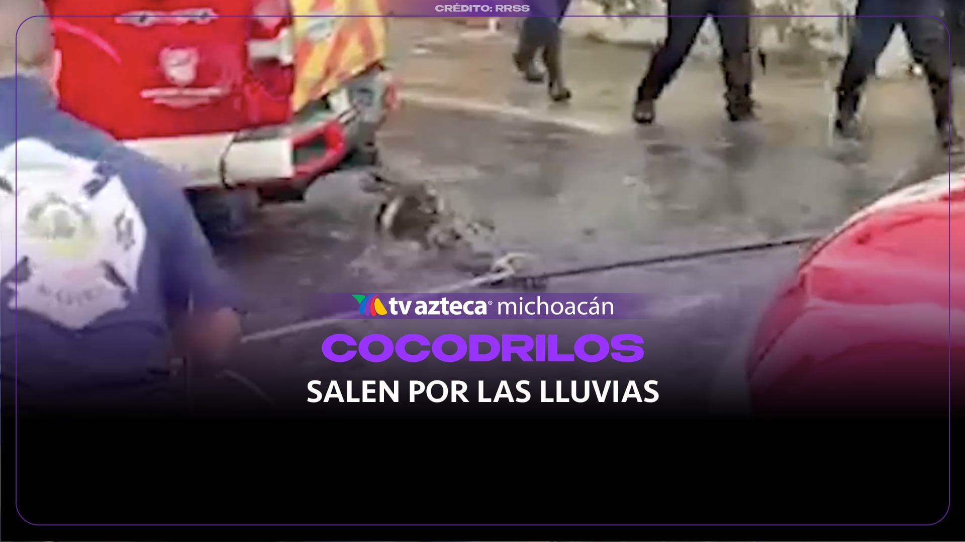 Lluvias desplazan cocodrilos hacia zonas urbanas; capturan ejemplar de 3 metros