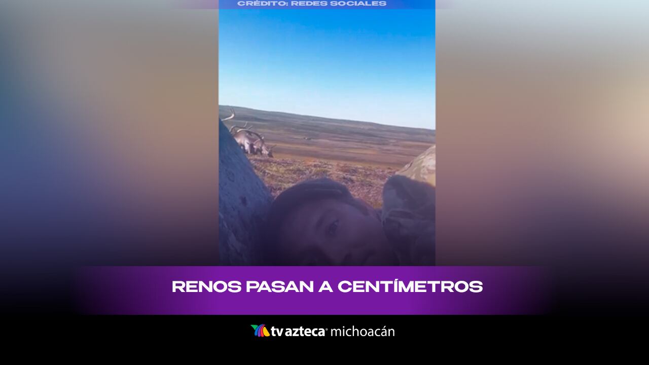 ¡Cara a cara con la naturaleza! Enorme rebaño de renos pasa junto a un fotógrafo