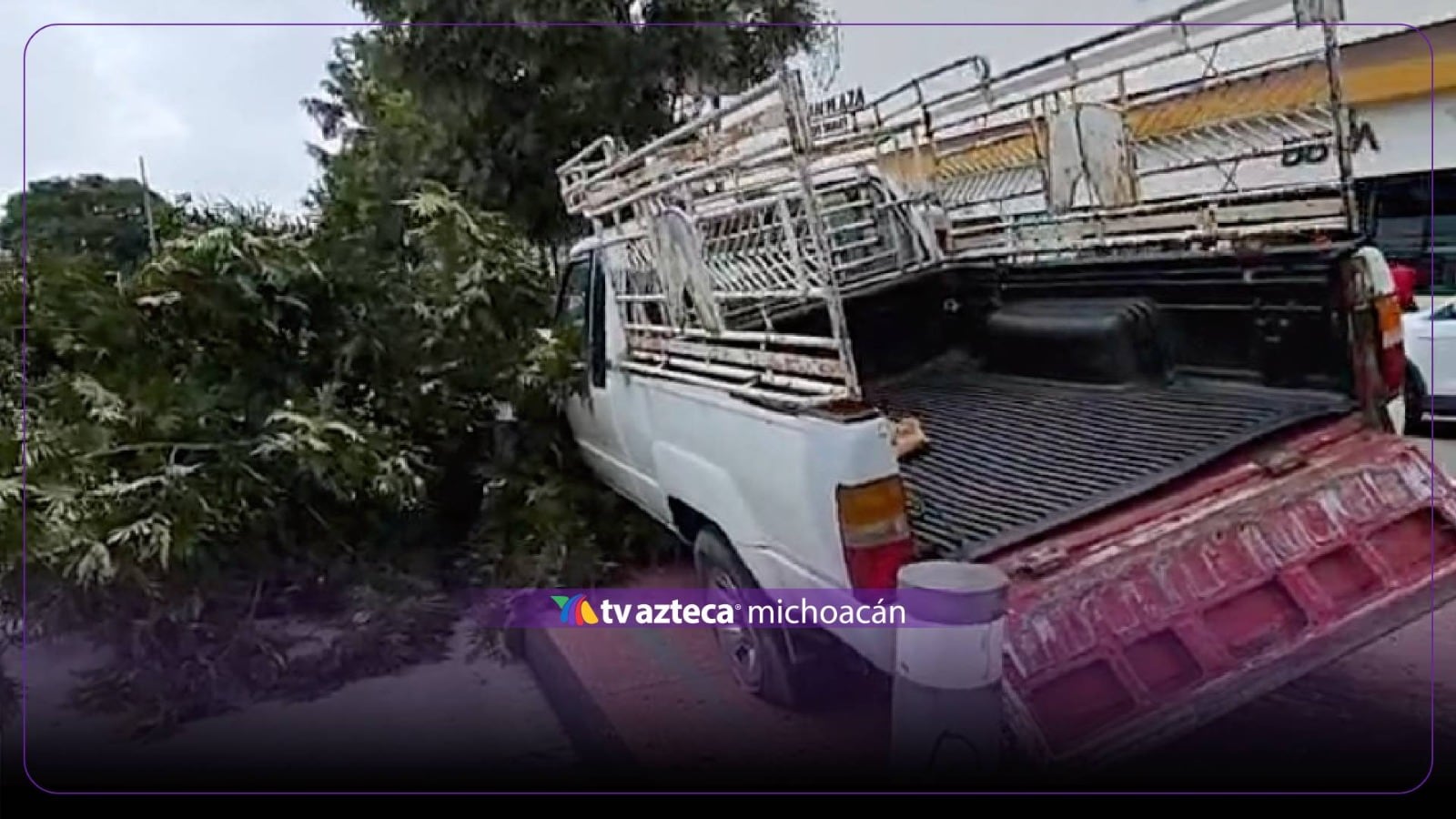 Camioneta de carga choca contra árbol y lo derriba en plena avenida de Michoacán 