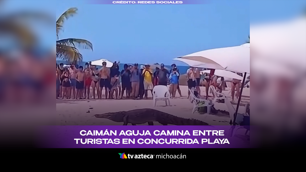 #VIDEO: Caimán aguja camina entre turistas en concurrida playa.