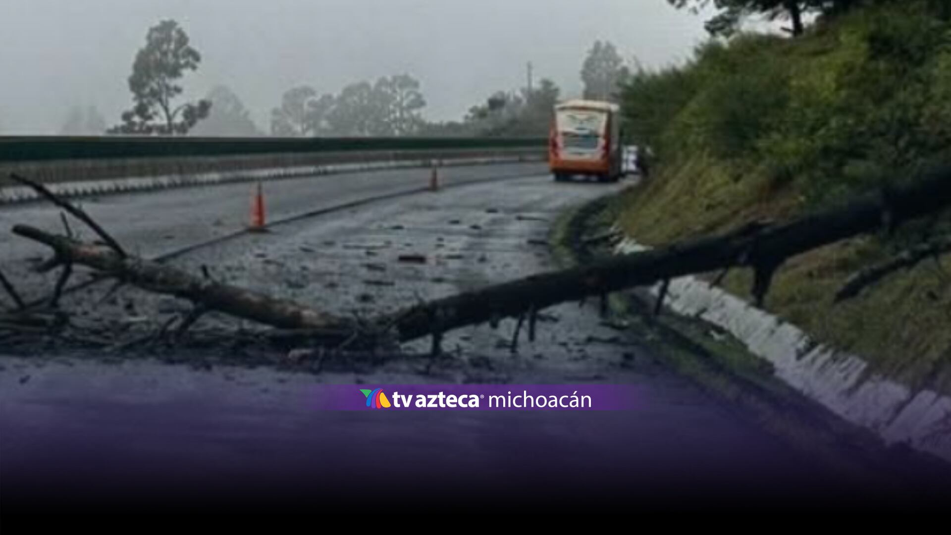 Árbol cae sobre la Autopista Siglo XXI, entre Uruapan y Morelia