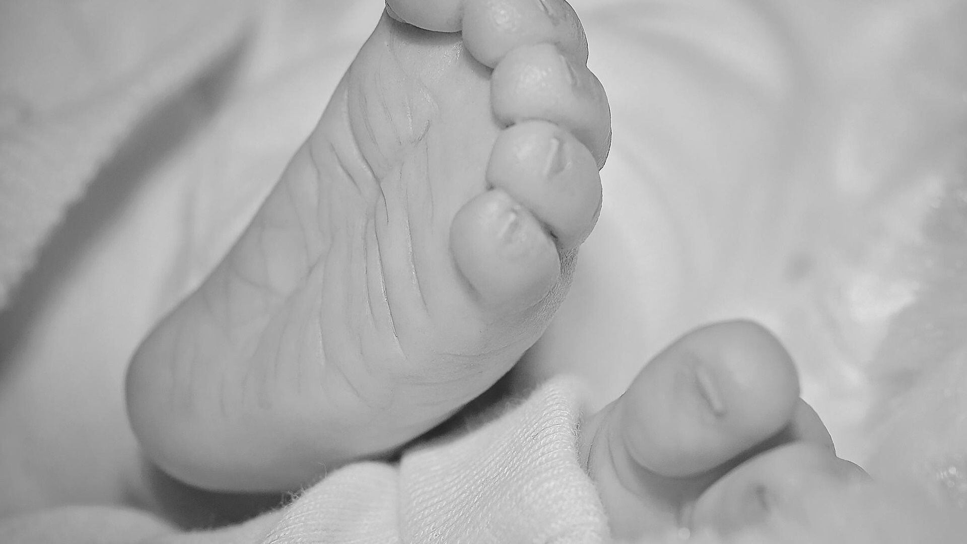 Mujer ocultaba cuerpos de 5 bebés en cajas de cartón dentro de su casa en Francia