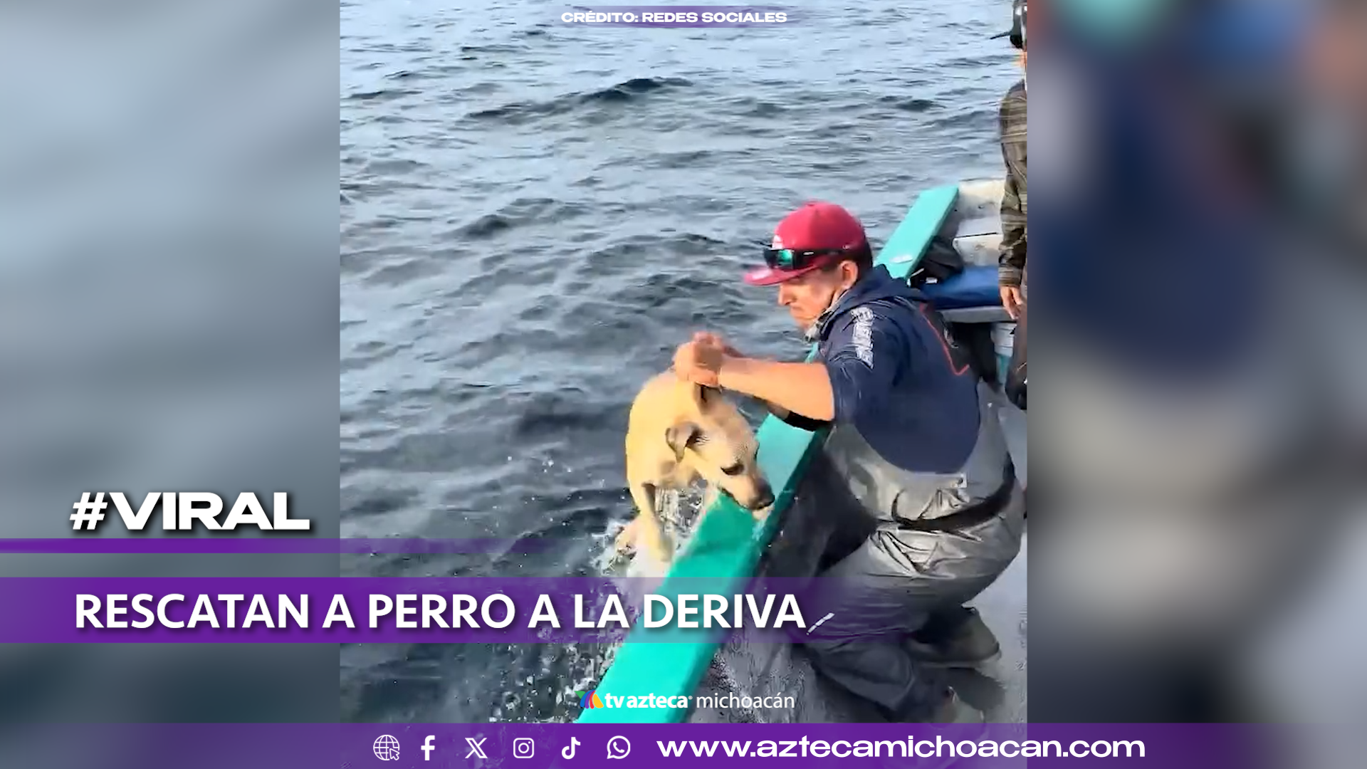 #VIDEO: Pescadores rescatan a un perro a la deriva en medio del océano.