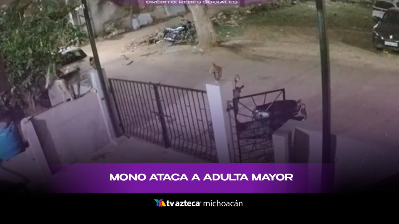 Mujer de 91 años mu3r3 tras ser atacada por un mono