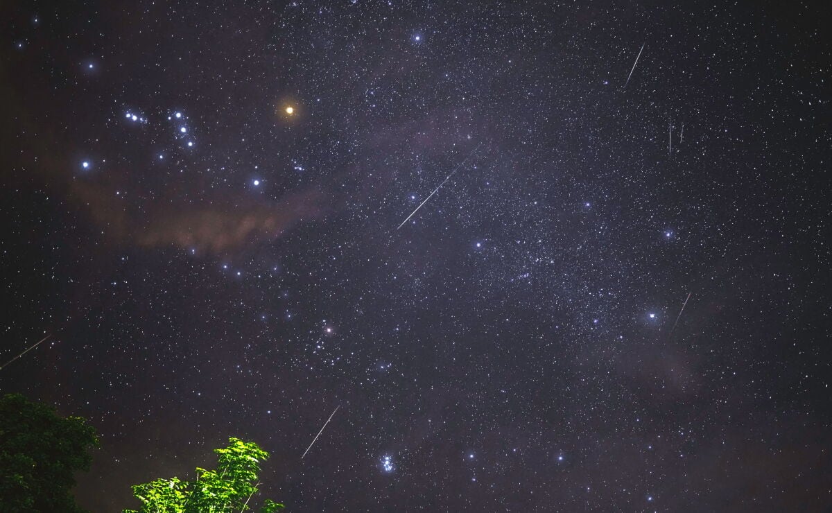 Lluvia de estrellas Perseidas 2026: cuándo y a qué hora verlas en México