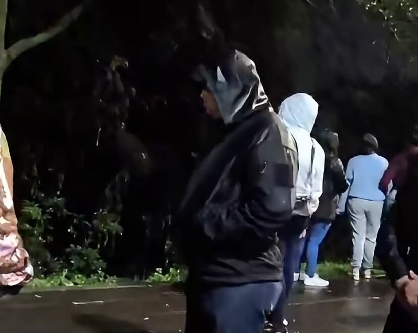 Realizan guardia humana durante madrugada para proteger árboles en Morelia