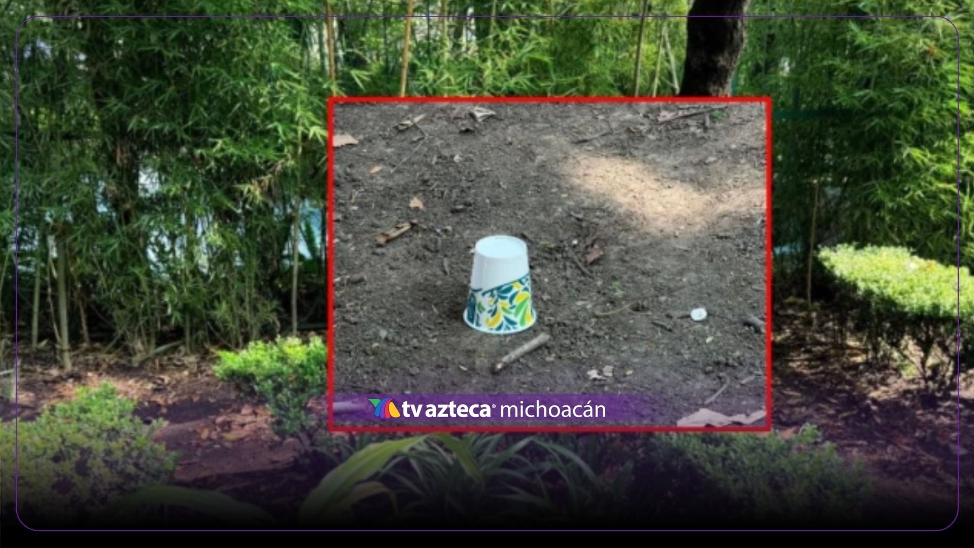 Tiran veneno en parque; hay tres perros sin vida 