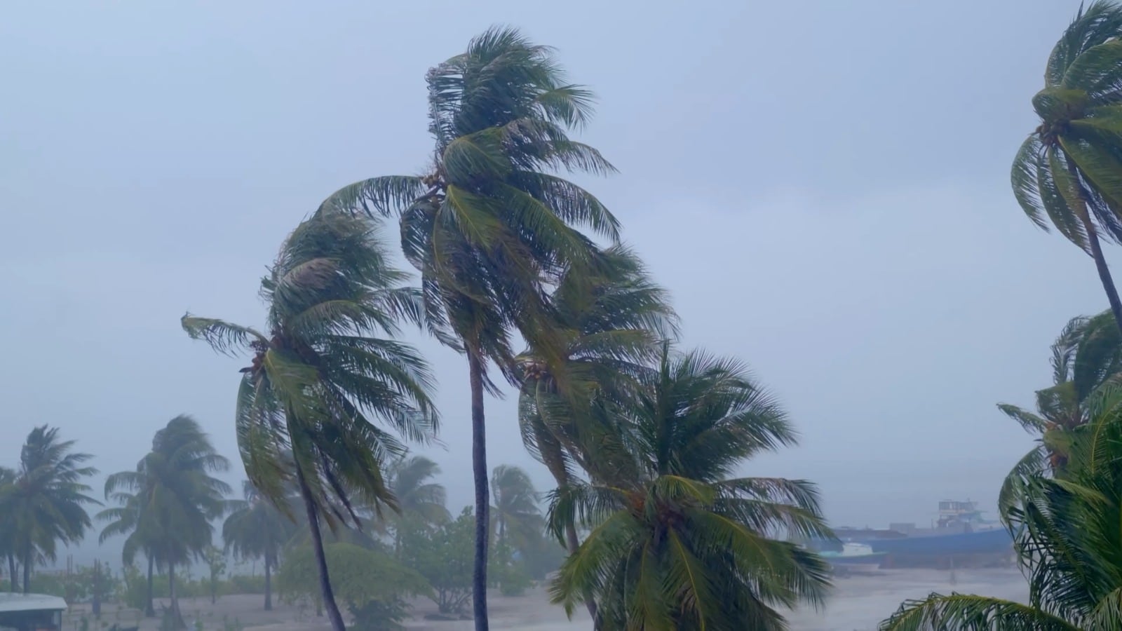 #VIDEO: Tormenta Tropical Marie podría intensificarse a huracán.