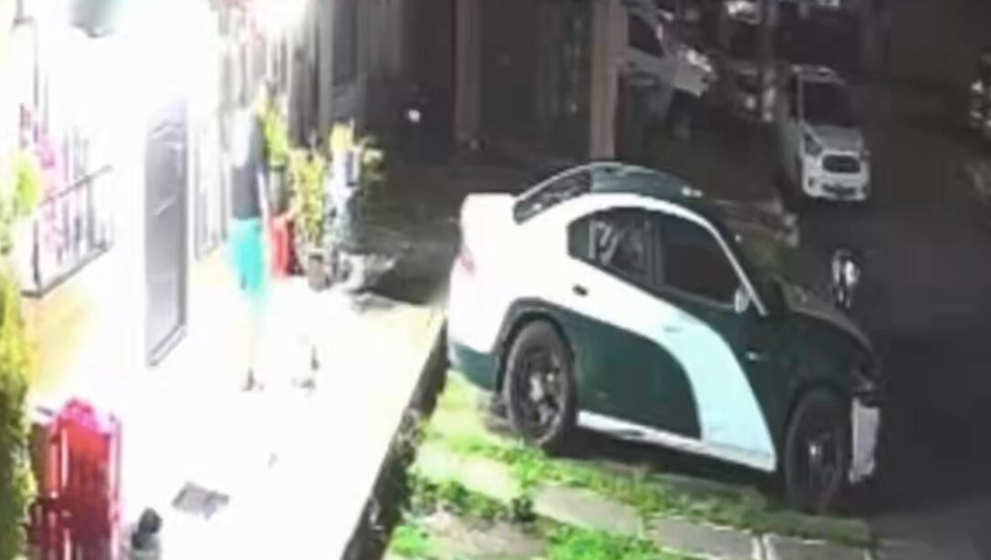 VIDEO: Matan a balazos a un perrito; autoridades investigan.