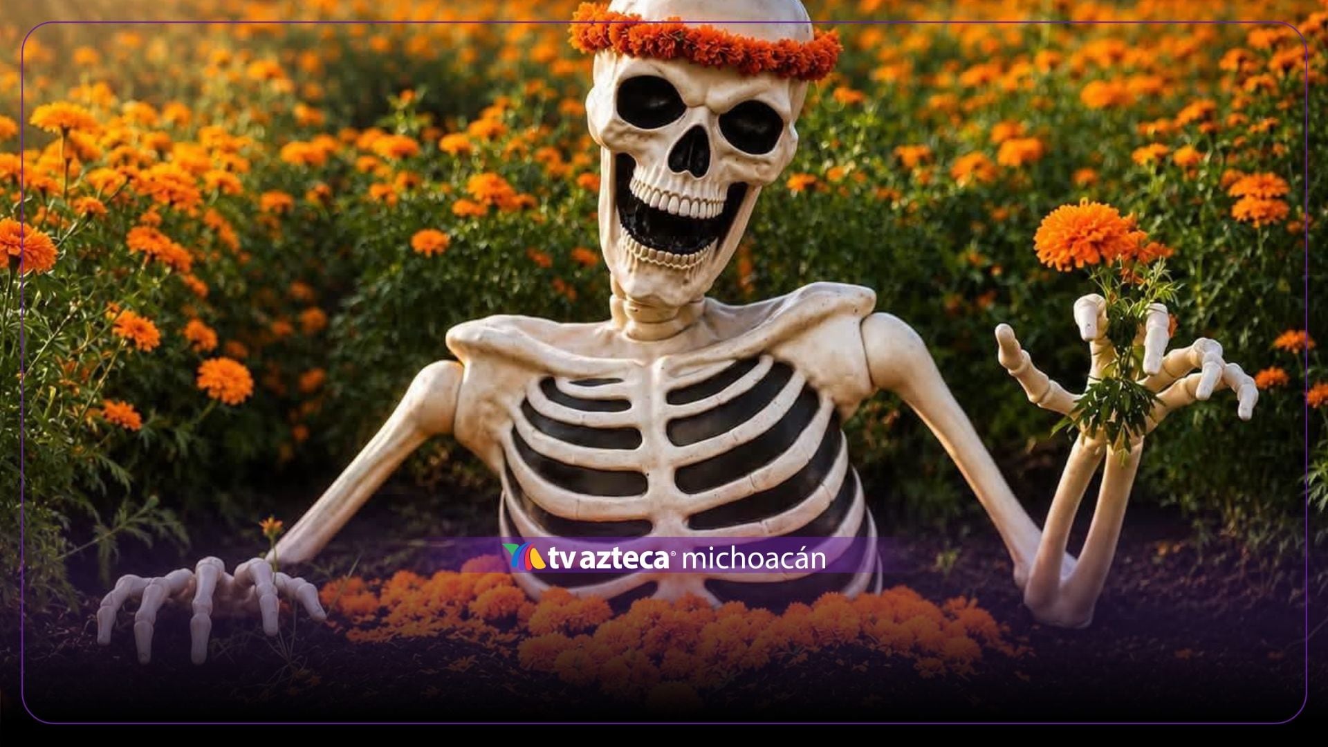 ¡Aún estás a tiempo! Tómate una foto entre las flores de cempasúchil en Tarímbaro