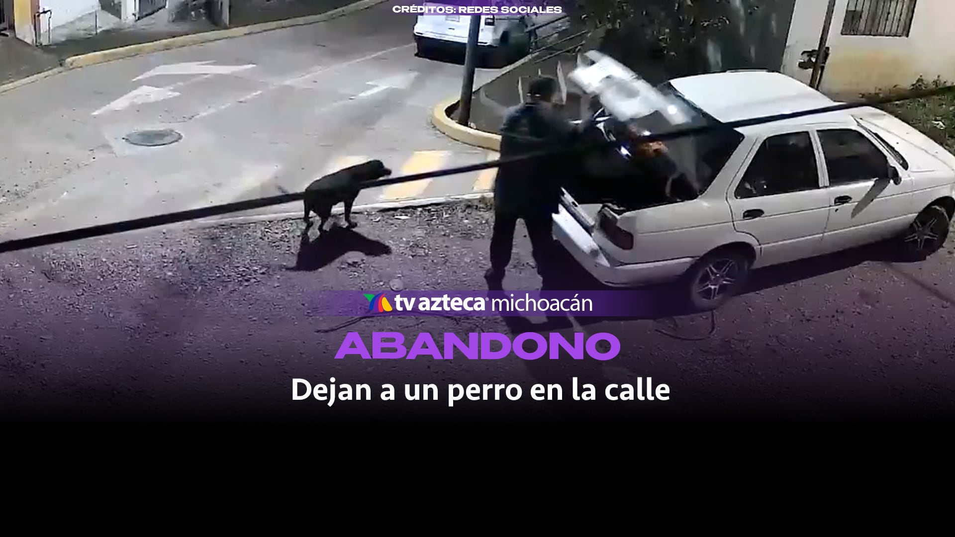 #VIDEO: Denuncian abandono de un perro desde un vehículo particular.