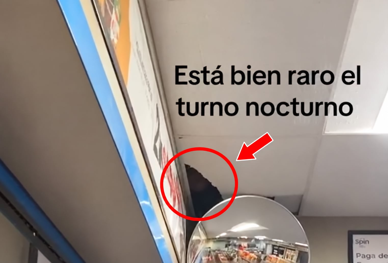 ¿Fantasma en el turno nocturno? Trabajadora capta extraña figura en tienda