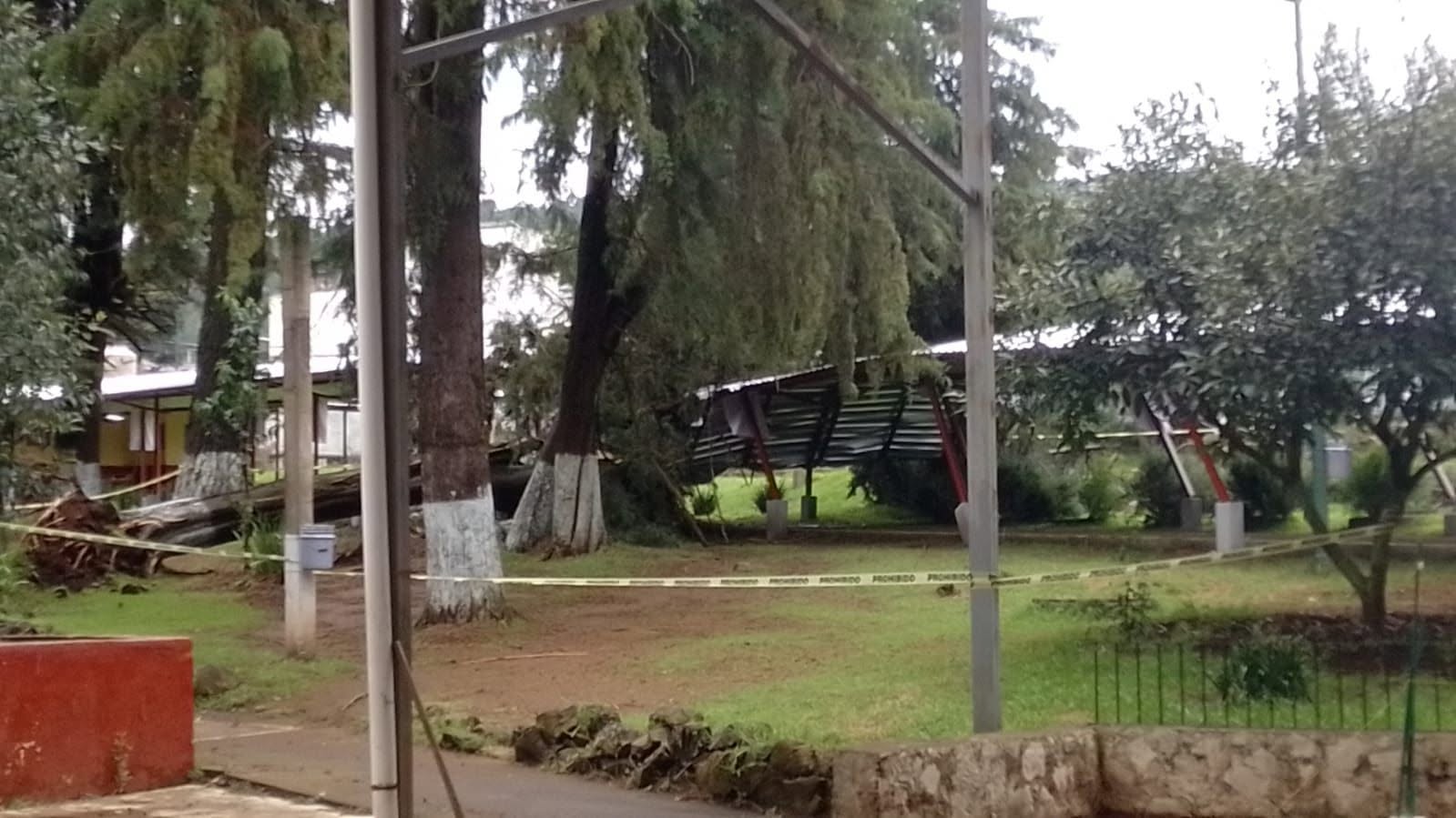 Suspenden clases en secundaria de Michoacán por caída de árboles