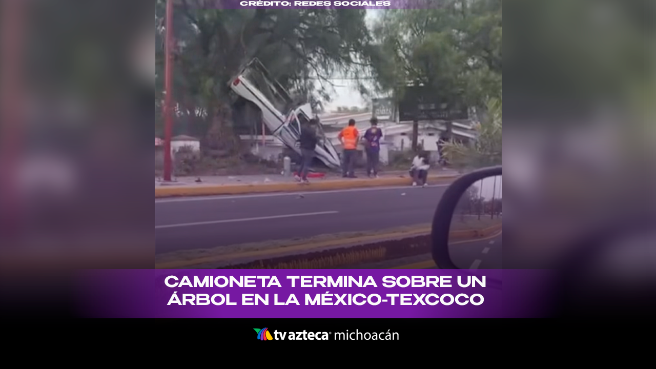 ¡Insólito! Camioneta termina sobre un árbol y sorprende a automovilistas
