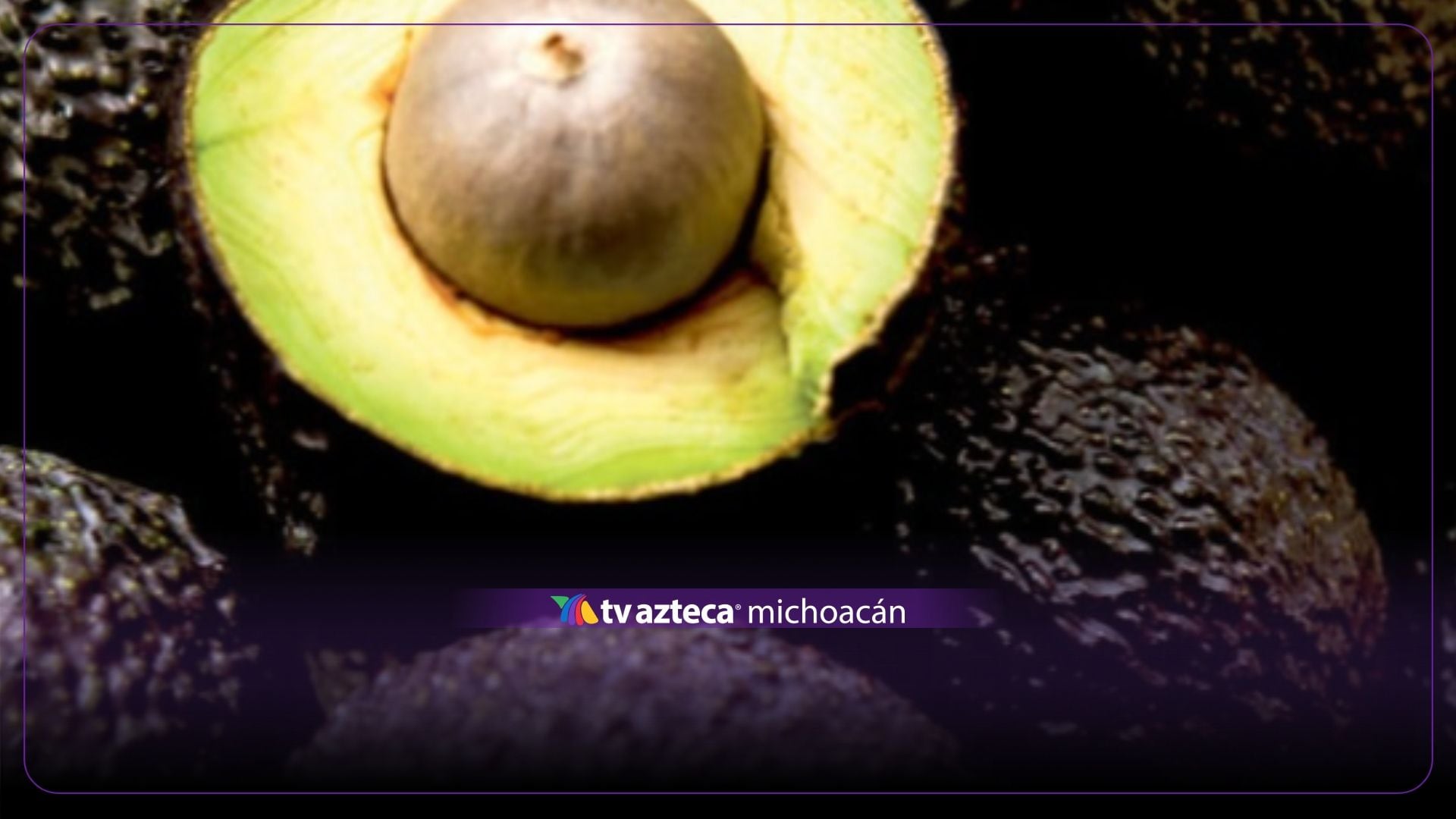 ¡Tragedia! Muere recién nacido tras ser golpeado por un aguacate que cayó de un árbol