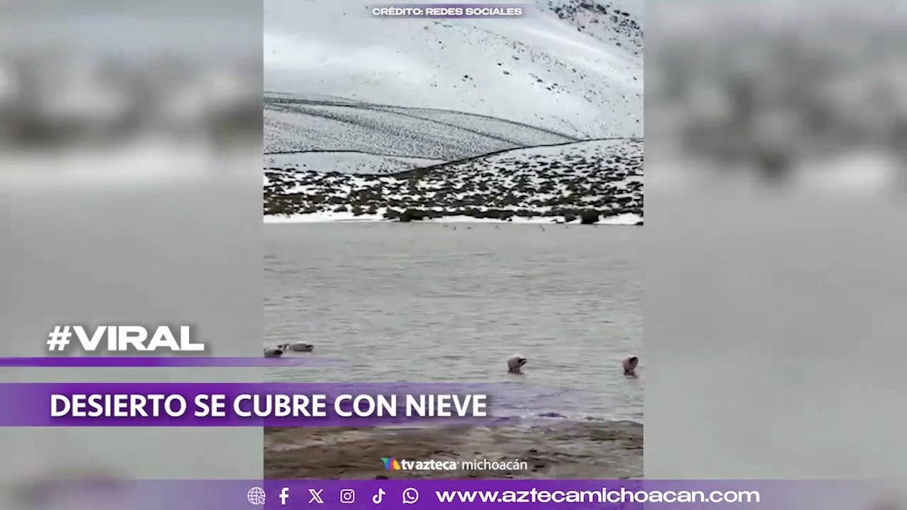 #VIDEO: Desierto amaneció cubierto de nieve tras intensa helada.
