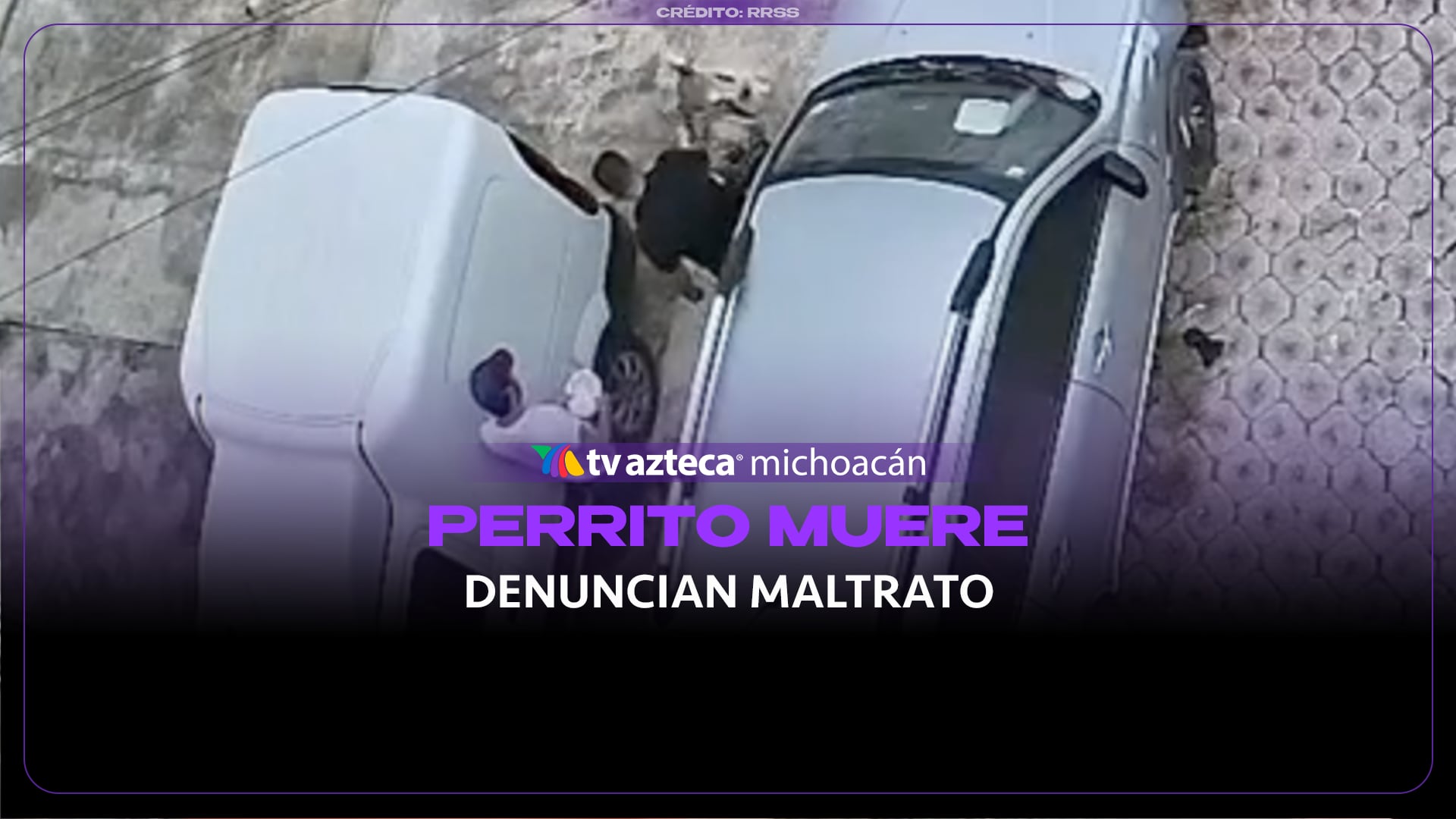 #VIDEO: Perrito habría mu3rt0 tras recibir una patada durante pelea entre canes