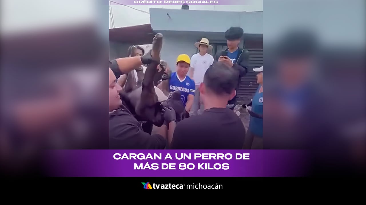 ¡Gigante y tierno! Cinco jóvenes cargan a un perro de más de 80 kilos