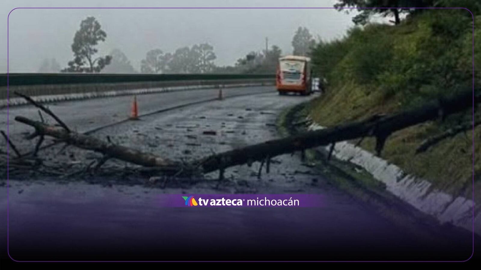 Árbol cae sobre la Autopista Siglo XXI, entre Uruapan y Morelia