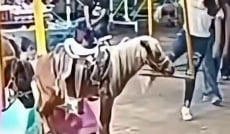 PONY