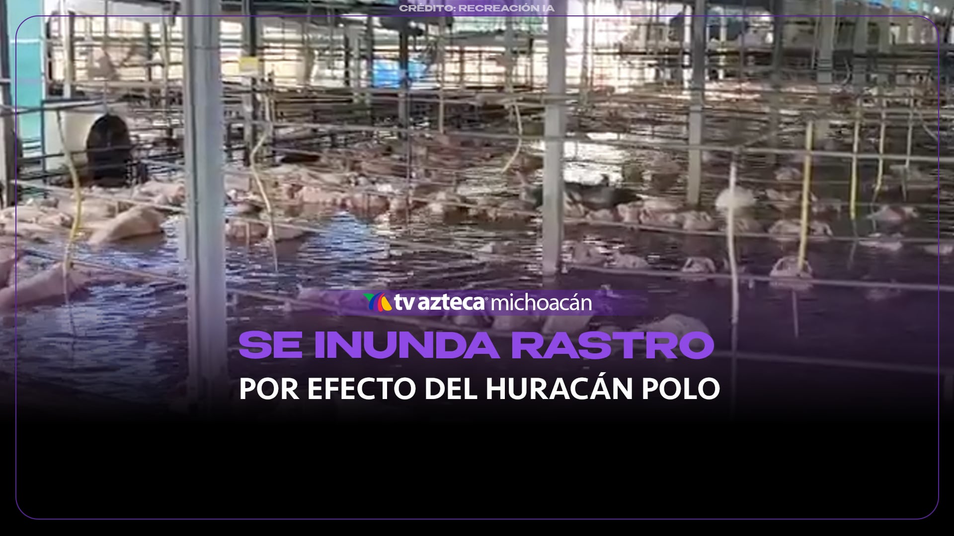 #VIDEO: Huracán Polo paraliza rastro e incomunica granjas en Sonora.