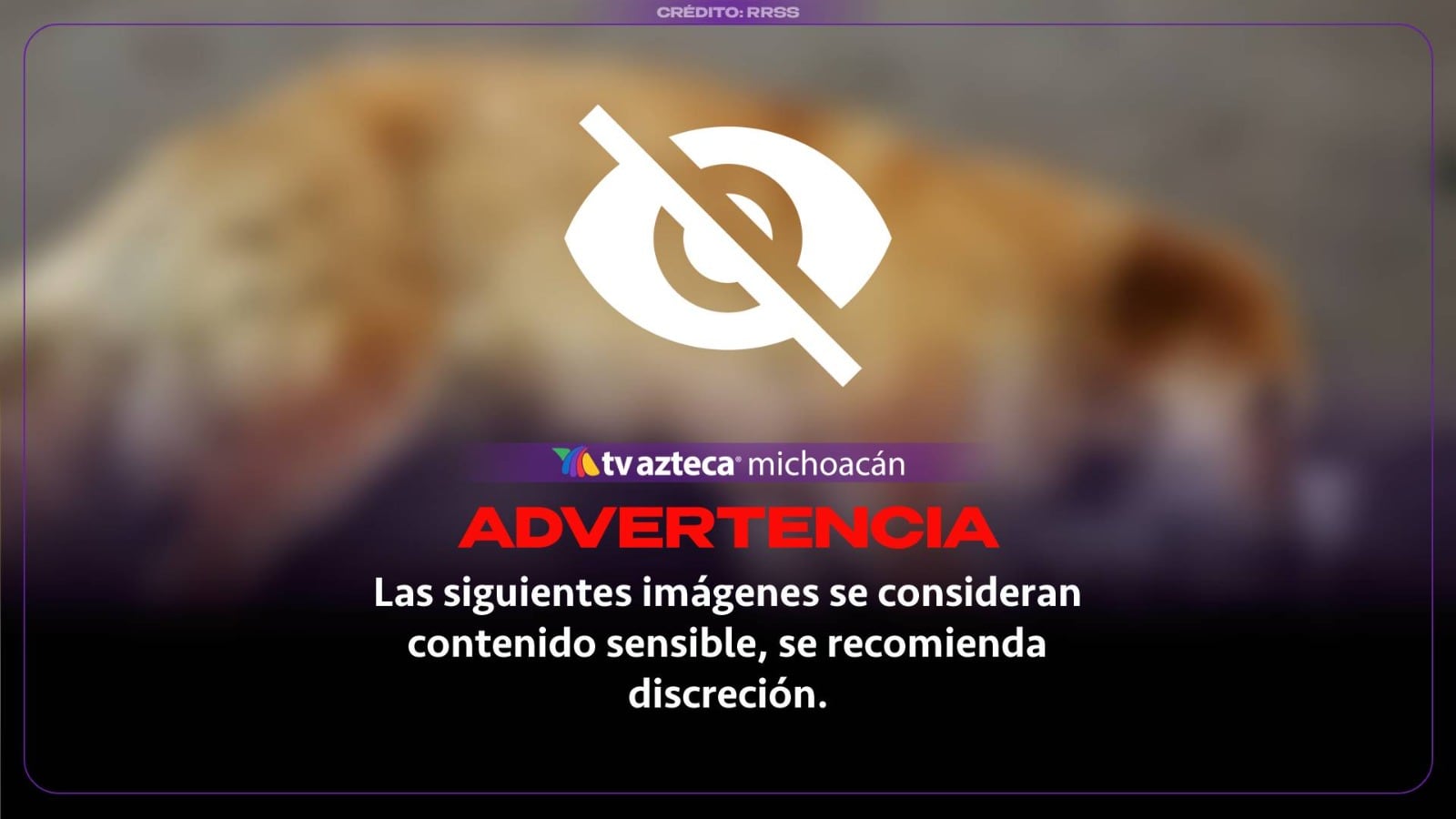 ¿Qué hacer si sospechas que envenenaron a tu perro? Señales de alerta y cómo actuar en Michoacán