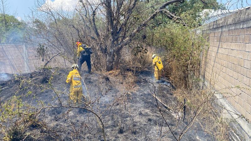 INCENDIO PASTIZAL.jpg