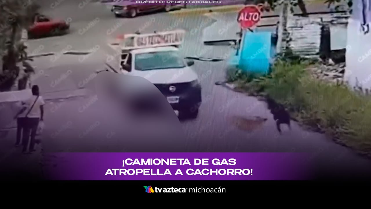 Camioneta de gas atropella a cachorro y sigue su camino sin detenerse