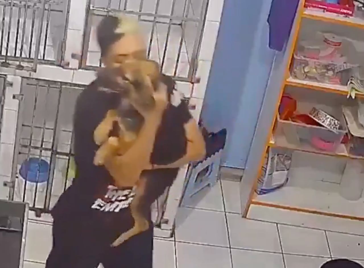 ¡Con mucho cariño! Joven sorprende por la manera en que cuida y baña a sus perritos