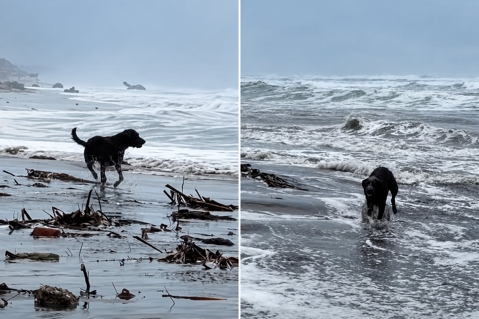 Max, el ‘cazador de huracanes’ que desafió las enormes olas del huracán Polo en Michoacán