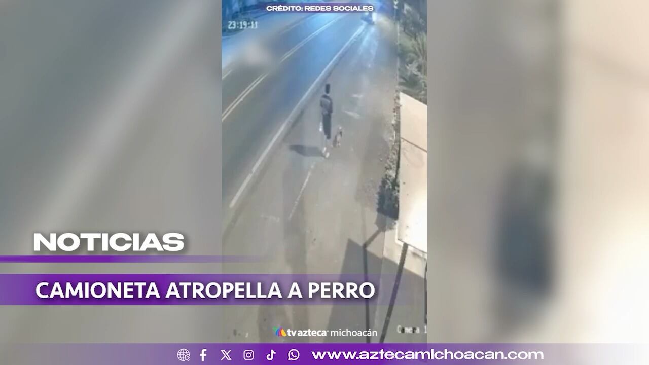 #VIDEO: Conductor atropella intencionalmente a un perrito.