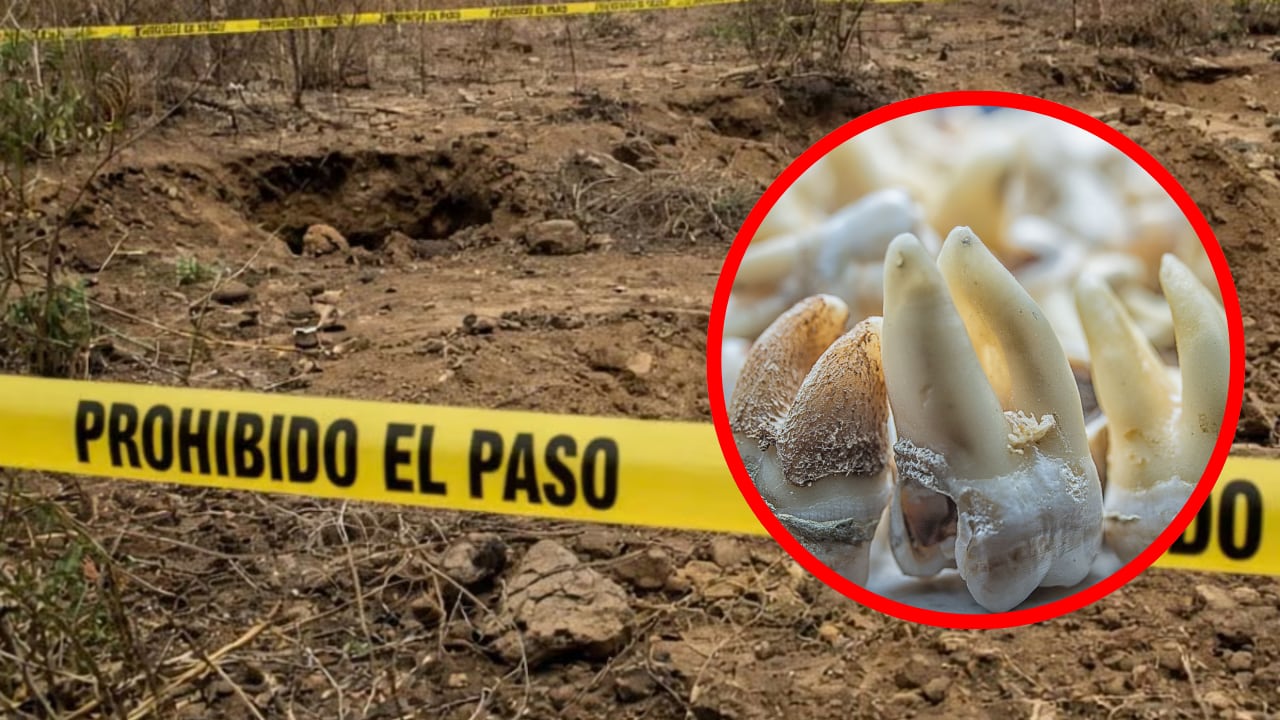 “Quieren minimizar el hecho”: Madres buscadoras cuestionan a Fiscalía de Michoacán por desconocer hallazgo de dientes de leche